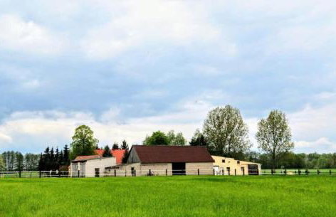 Stajnia Tarnowo Pałuckie - Foto 15