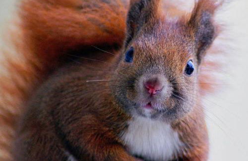 Ferienwohnung-Haus-am-Wald - Foto 34