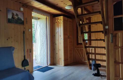 Domki w Bieszczadach - Foto 19