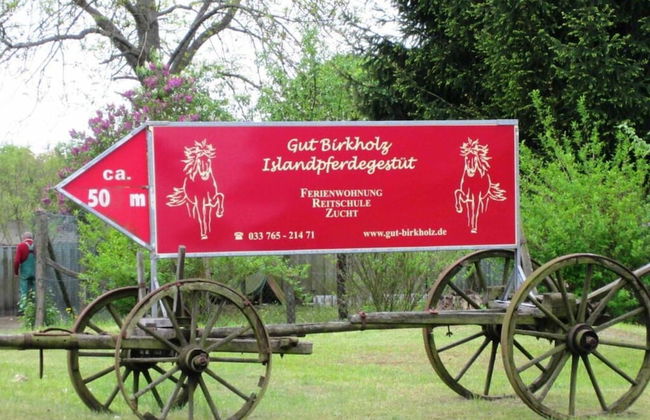 Apartment at the Icelandic Horse Farm - Photo 15