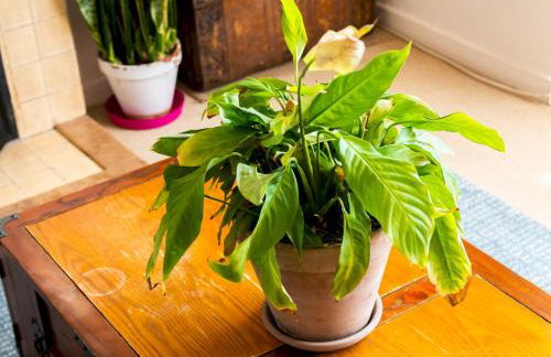 Cozy 4-Bed with Garden in Trendy Stoke Newington - Pass the Keys - Foto 16