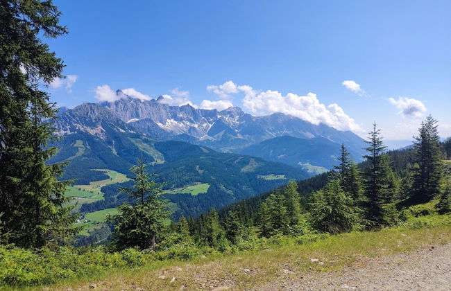 Apartment in Filzmoos Near Ski Amade - Photo 19