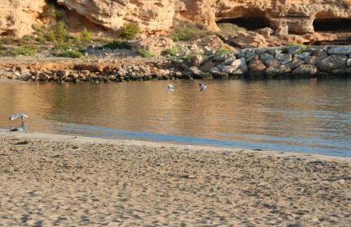 Maisonnette petit jardin barbecue Calafat Tridente 2 - Foto 17