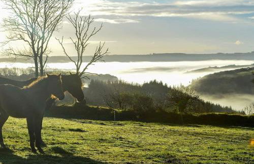 3 Bed in Llanllwni 91447 - Foto 32