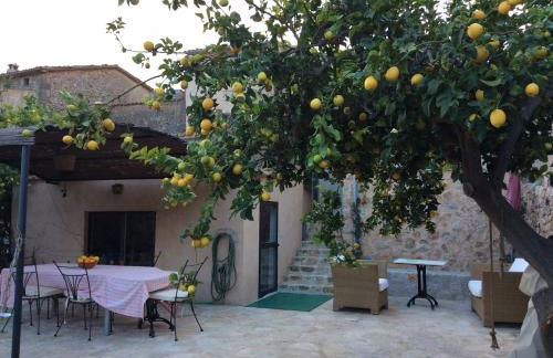 Filoses 18A - Foto 39