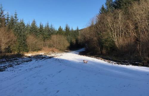 Afan forest-Cregan Cottage-Pet friendly - Foto 9