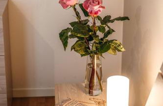 Appartamento Giada - Foto 30