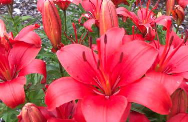 Ferienhaus direkt an der Spree mit Whirlpool und Sauna - Foto 17