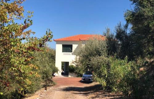 Kyparissia De Wandelboom - Foto 24