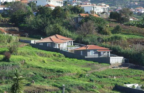 Paraiso das Flores - Foto 20