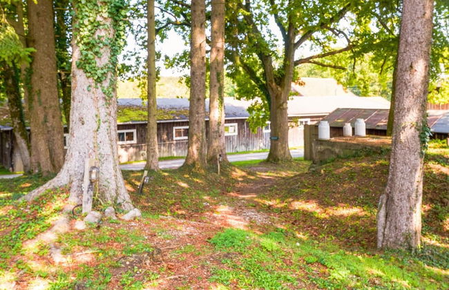 Holiday Home in Phhl for 2 Person - Foto 28