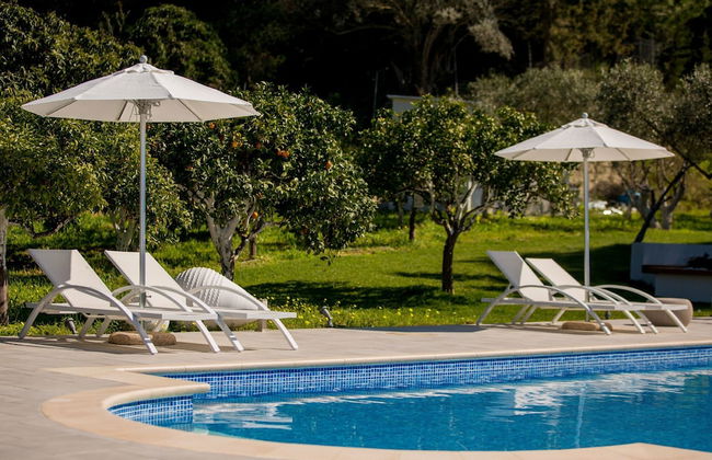 Antigone Estate - Foto 11