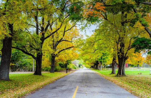 4BR Spacious Condo, Private Lake MI Beach Access, Outdoor Heated Pool - Photo 33