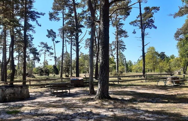 5 Person Holiday Home in Haltorp-by Traum - Foto 19