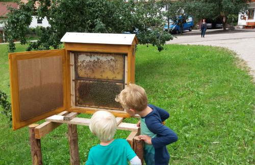 Holderstanzenhof - Foto 10