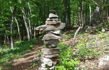 Ältestes Haus in Quentel - Ferienwohnung 2 mit Dachterrasse - Foto 19