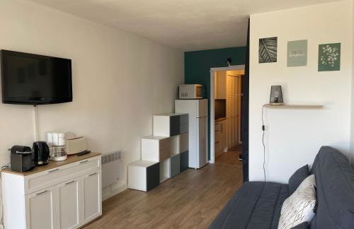 Cosy studio 25 m2 orienté sud entièrement rénové - Foto 13