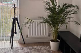 Valerie MMXXV - Foto 2