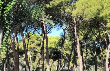 Apartamento Azabache - Foto 7