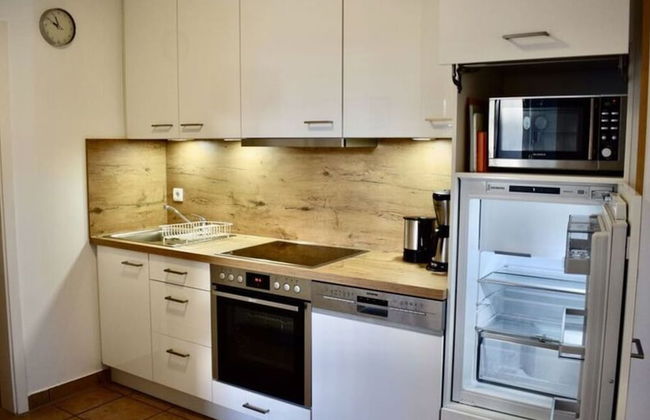 Herring Gull in the Villa Meernixe Binz - Photo 5