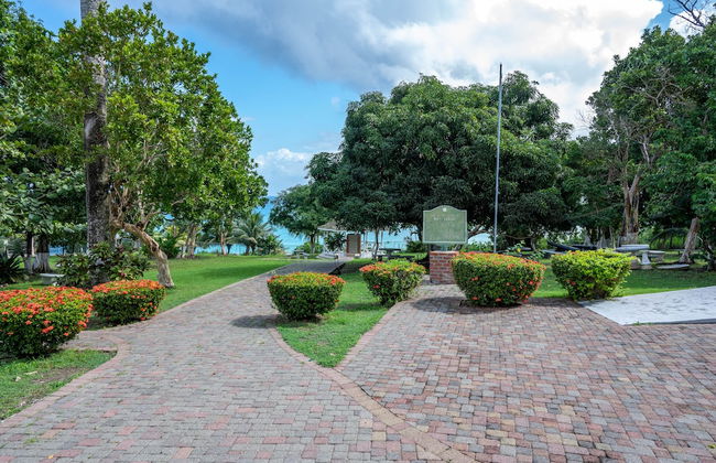 Rustic Raspuru - Foto 21