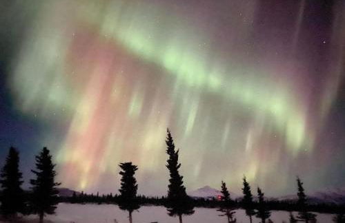 Northern Lights from Hot Tub, Denali National Park - Photo 42