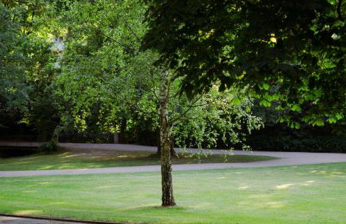 Loft-Apartment - Bestlage am Kurpark mit Terrasse - kostenloses Parken - Küche - Netflix - Waschmaschine - Foto 64