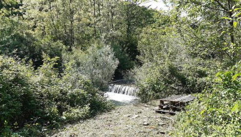 Alloro, accogliente monolocale a Val di Nima, Arezzo - Foto 2