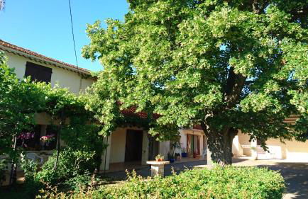 Les prairies Mas Roux - Foto 1