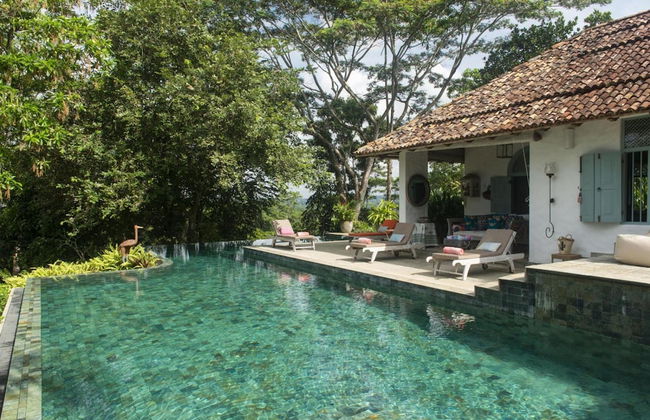 08 Acre Private Tea Estate Close To Galle - Photo 1