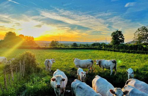 La Saugeraie - Foto 23