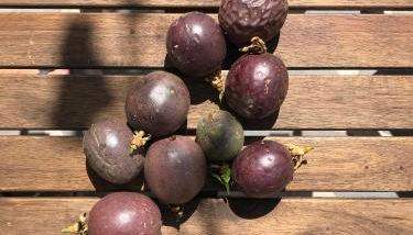 Casa Oliveira Esmeraldo - Guest Houses - Foto 5, Other