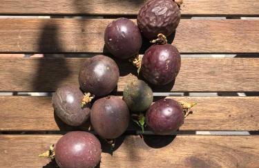 Casa Oliveira Esmeraldo - Guest Houses - Foto 5