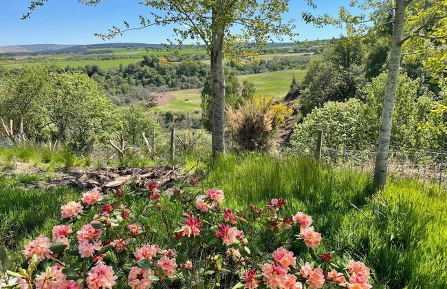 Beautiful Hillside Apartment Near Elgin, Scotland - Foto 44