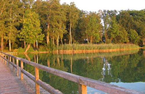 Residenz Zum Kronprinzen Bad Saarow - Foto 30