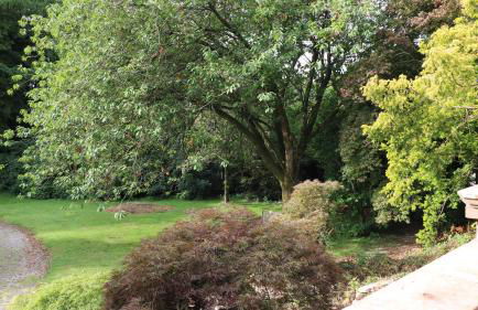 Tallentire Hall - Foto 25