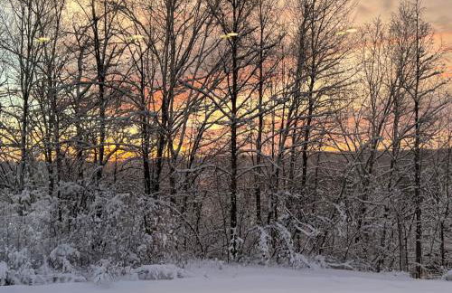 Maison Flambeau - Foto 40