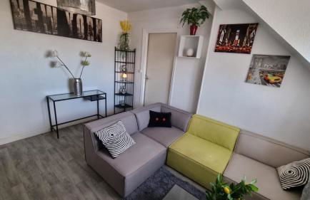 De Manhattan à la savane - Foto 4