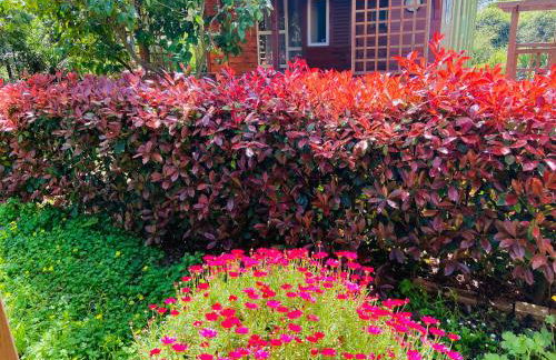 Beach house à Marina di Sorbo …Corse - Foto 33