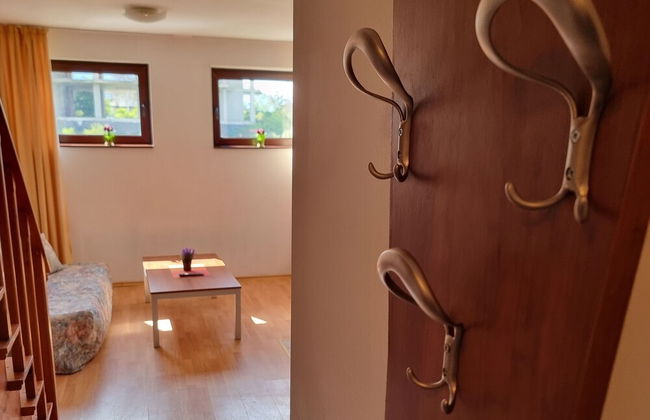 1 Bright Two Floor Apartment - Photo 11