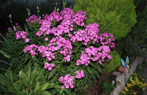 Ferienwohnung Fam. Höhn - Foto 28