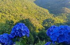 Apartamentos Rurales El Bosque de las Viñas - Photo 21