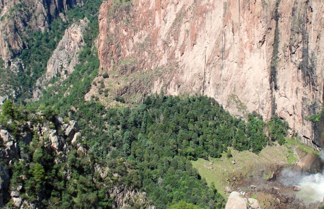 Excursion au Parc National Cascada de Basaseachi - Photo 2