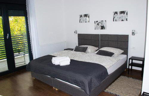 Kraljeva hiža - Apartmani i sobe Kralj - Foto 36