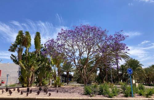 Casa Aloe C. Las Playitas. - Photo 25