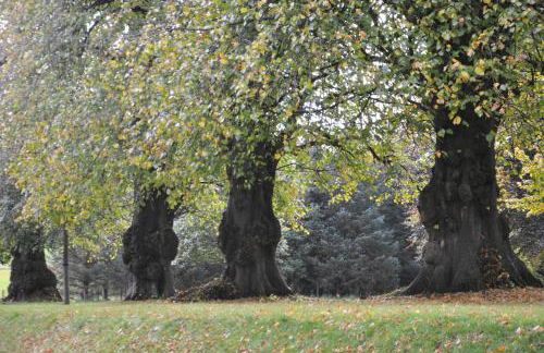 Carnell Country Estate & Holiday Cottages in Ayrshire - Foto 19