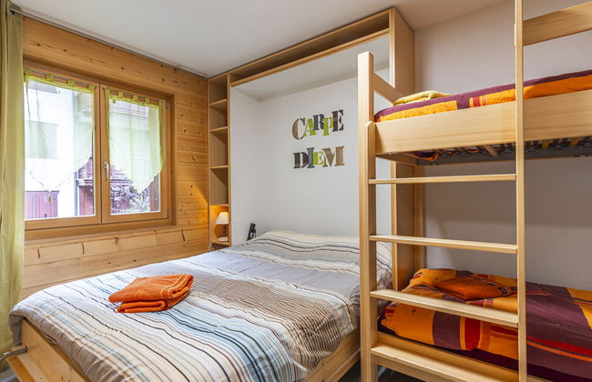 Bouquetins - Photo 19