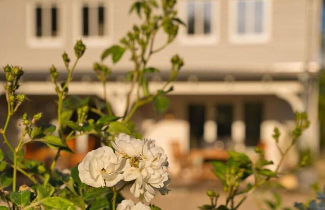 Northern Lights Modern Retreat - Photo 23