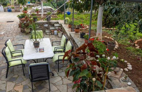 Paradeisos - Foto 62