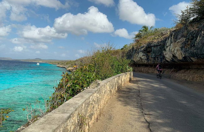 Tour del nord di Bonaire - Foto 5